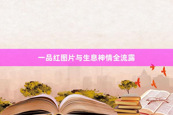 一品红图片与生息神情全流露
