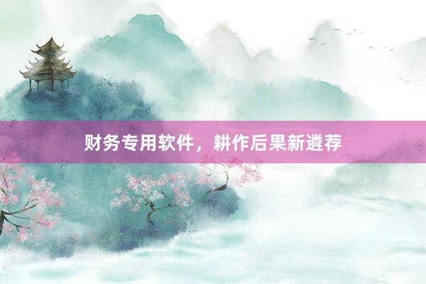财务专用软件，耕作后果新遴荐